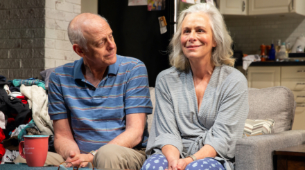 Tell Me I'm Not Crazy - Mark Blum and Jane Kaczmarek - Photo by Jeremy Daniel