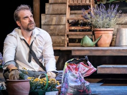 madhouse1